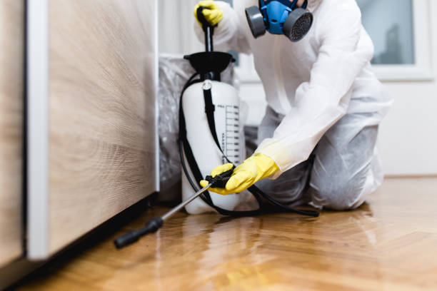 Best Commercial Pest Control Services  in Maple Lake, MN