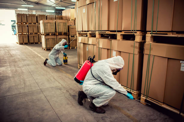 Best Best Pest Control Companies  in Maple Lake, MN