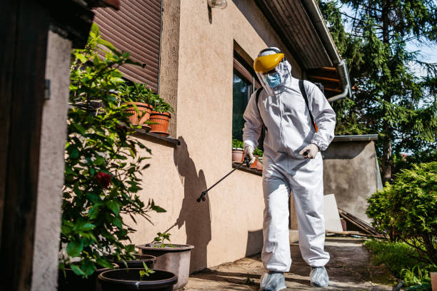 Pest Prevention Services in Maple Lake, MN