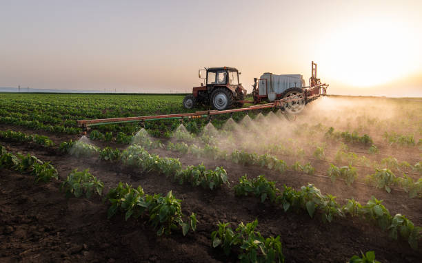 Best Mosquito Control Services  in Maple Lake, MN