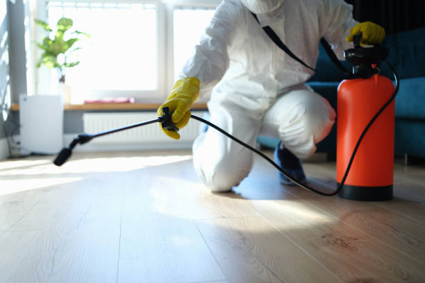 Best Local Pest Control Services  in Maple Lake, MN