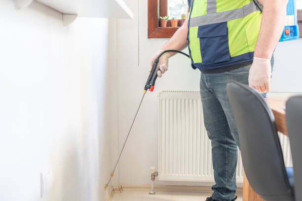Best Wasp Removal Services  in Maple Lake, MN
